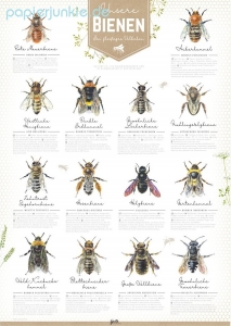 Poster Bienen (2 Stück)