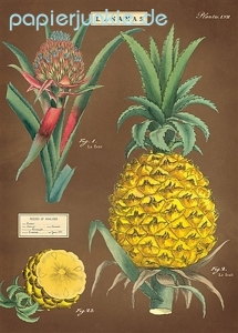 Geschenkpapier Ananas, Pineapple