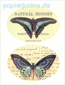Vintage Stickers Butterfly, Schmetterlinge 01