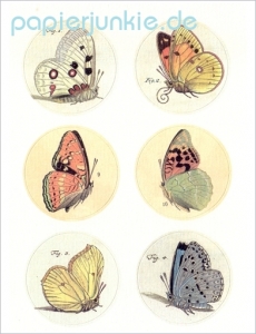 Vintage Stickers Butterfly, Schmetterlinge 08