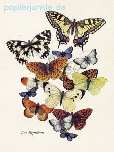 Kunstdruck Butterflies, Schmetterlinge