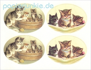 Vintage Stickers Cats 3
