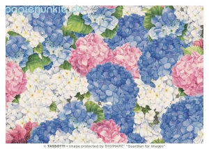 Geschenkpapier Hortensien, Ortensie rosa-blu (Grafiche Tassotti)
