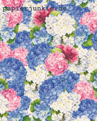 Geschenkpapier Hortensien, Ortensie rosa-blu