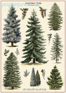 Geschenkpapier Christmas Trees, Tannenbäume