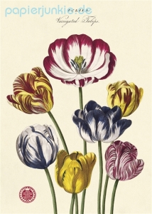 Geschenkpapier Tulipa Tulips, Tulpen