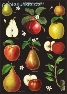 Geschenkpapier Apples & Pears, Äpfel und Birnen