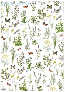 Geschenkpapier Kräutergarten