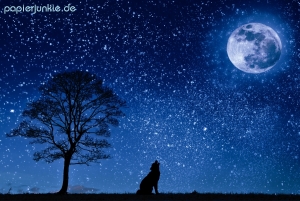 Geschenkpapier Vollmond