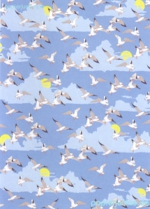 Geschenkpapier Seagulls, Seemöwen (F*)