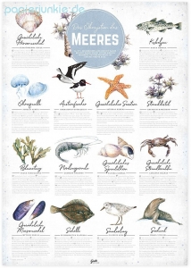 Poster Das Ökosystem des Meeres (2 Stück)