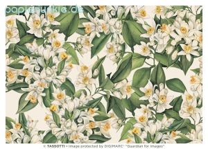 Geschenkpapier Orangenblüten