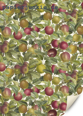 Geschenkpapier Apples