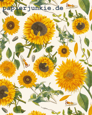 Geschenkpapier Sonnenblumen, Girasole (Grafiche Tassotti)