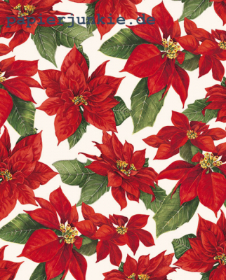 Geschenkpapier Poinsezia, Weihnachtssterne