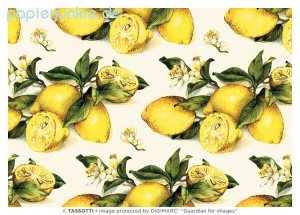 Geschenkpapier Zitronen (Grafiche Tassotti)