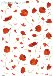 Geschenkpapier Mohnblüten (R*)