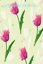Geschenkpapier Tulpe pink