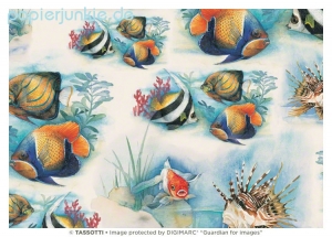Geschenkpapier Tropische Fische, Pesci tropicali (Grafiche Tassotti)