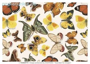 Geschenkpapier Schmetterlinge, Farfalle (Grafiche Tassotti)