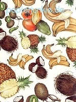 Geschenkpapier Tropische Früchte (R*)