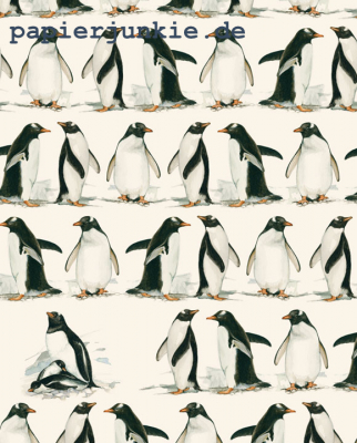 Geschenkpapier Pinguine, Pinguini (Grafiche Tassotti)