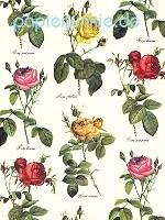 Geschenkpapier Rosen (Grafiche Tassotti)