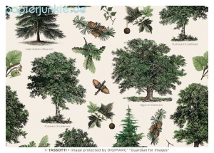 Geschenkpapier Bäume, Alberi (Grafiche Tassotti)