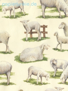 Geschenkpapier Schafe (Grafiche Tassotti)